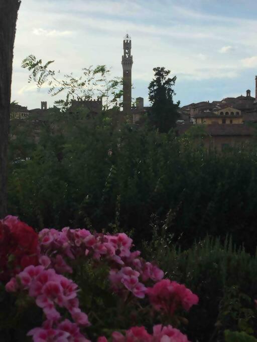 La Dogana Villa Siena Dış mekan fotoğraf